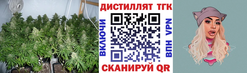 Купить закладки  Лыткарино  Дистиллят ТГК гашишное масло 