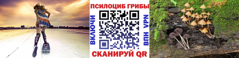 Купить  Лыткарино  Галлюциногенные грибы Psilocybine cubensis 